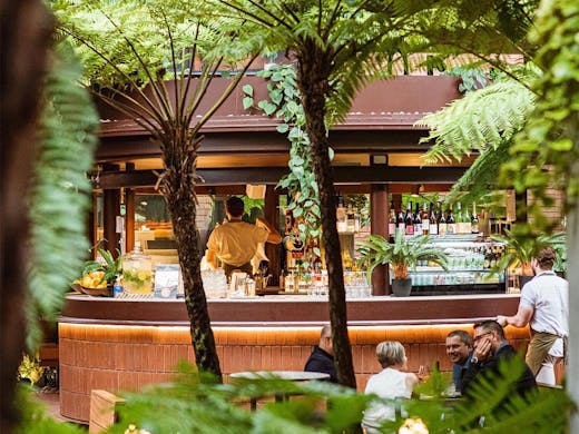 a glimpse of Kiki Kiosk's bar through leafy palms