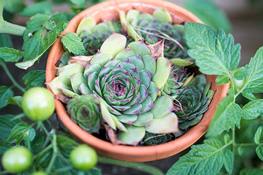 best-workshops-sydney