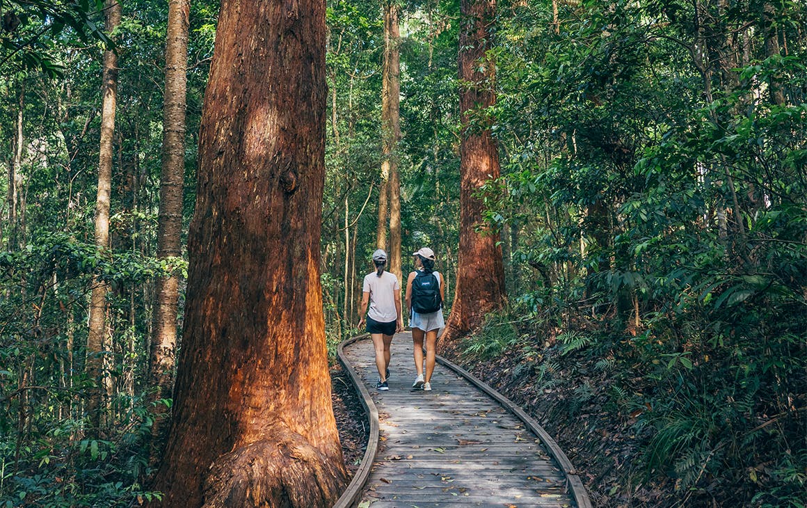 Two women walk along a raised boardwalk through a forest.