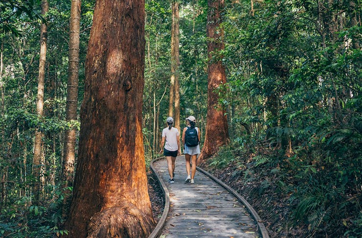 Two women walk along a raised boardwalk through a forest.