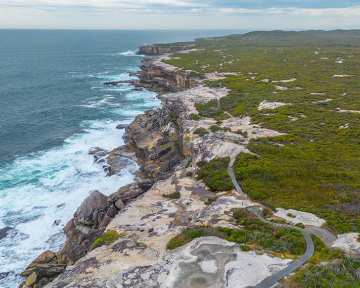 kurnell best whale watching spots sydney