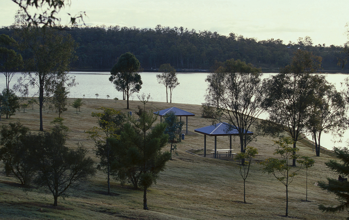 a grassy area by a lake