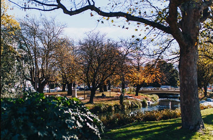 Things To Do Christchurch