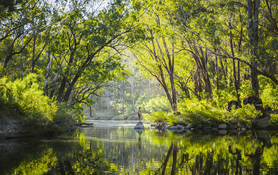 Lane Pool Reserve swimming