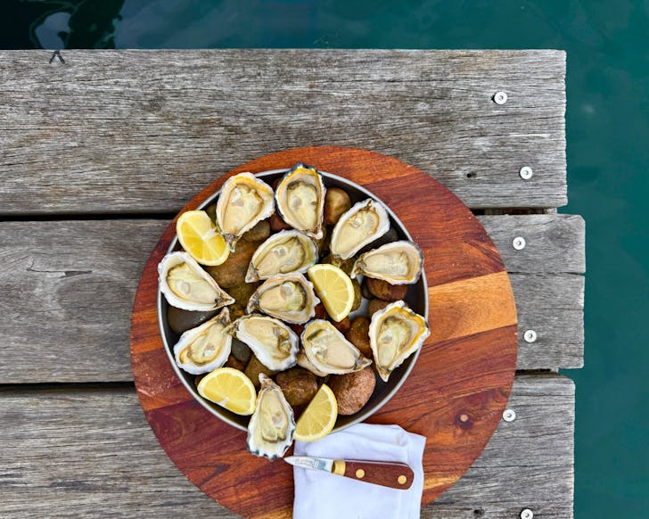 oysters on a pier