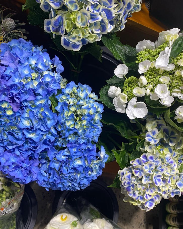 free flowers at lemon tree grocers in bondi