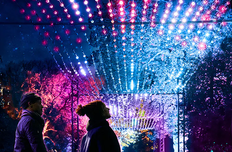 Lightscape Is Coming To Brisbane This Year | URBAN LIST BRISBANE