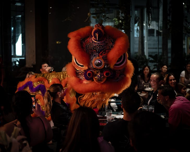lilymu parramatta luna new year sydney