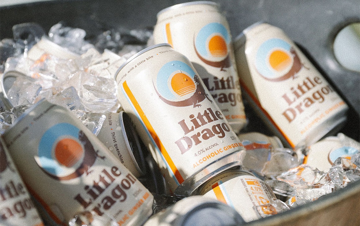 an ice bucket full of little dragon