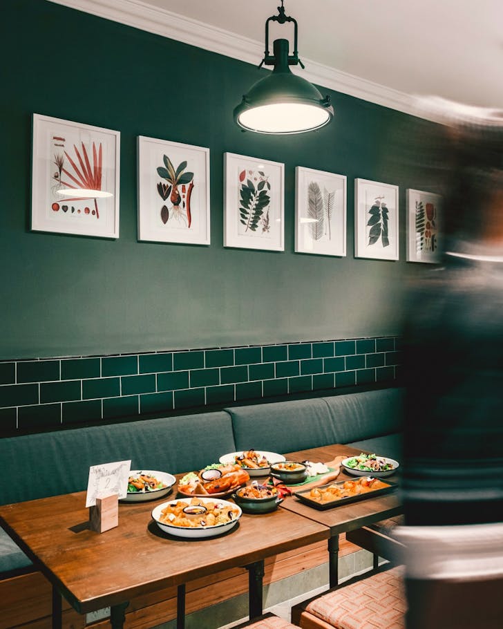 little turtle best vegan restaurants in sydney