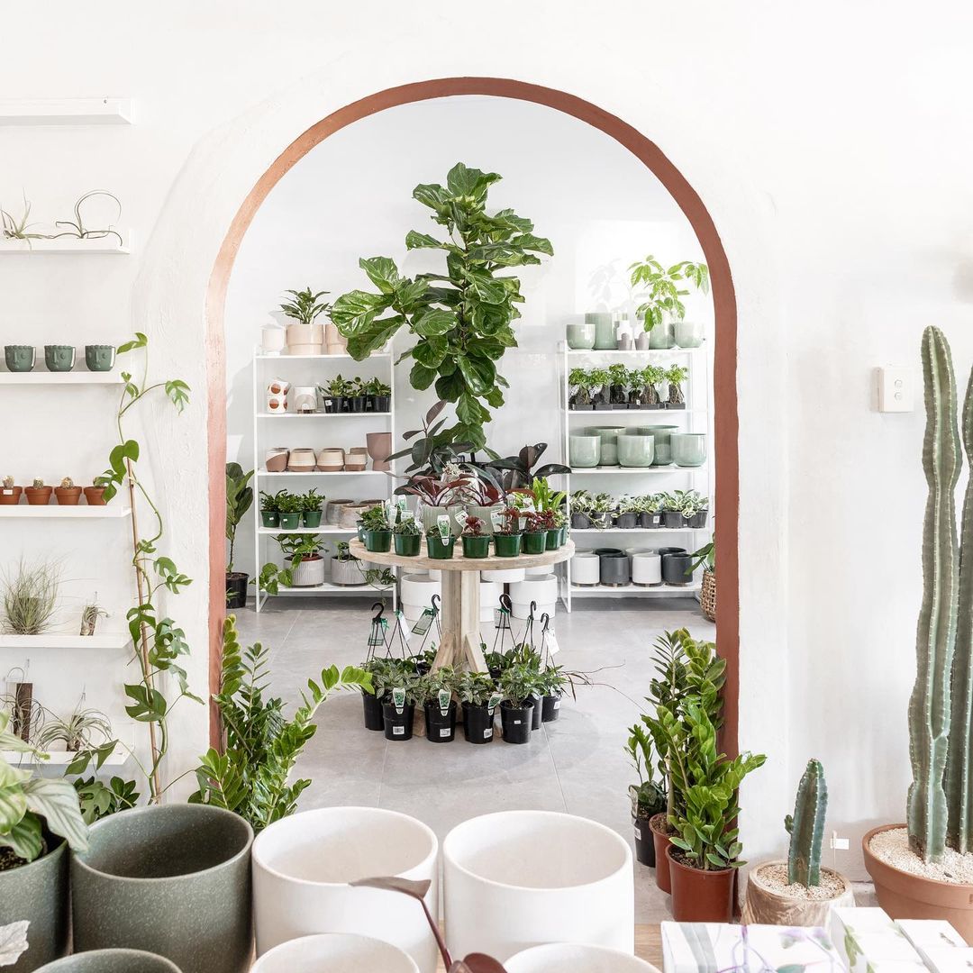 a shop filled with pots and plants