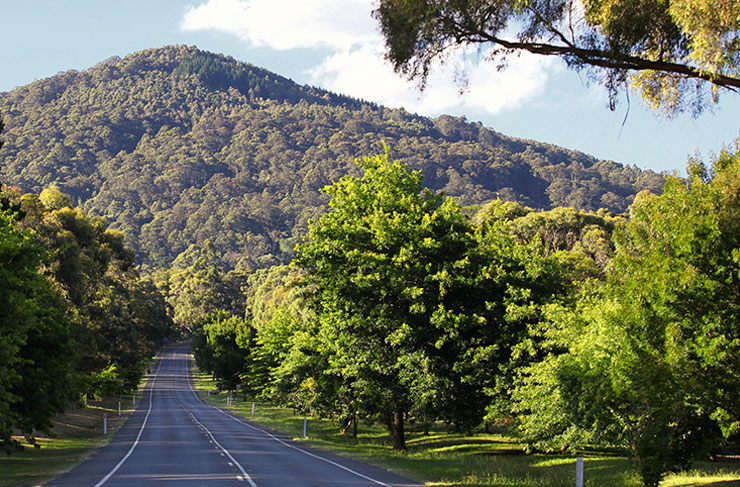 A road leading to a larger hill at the macedon ranges victoria best drives