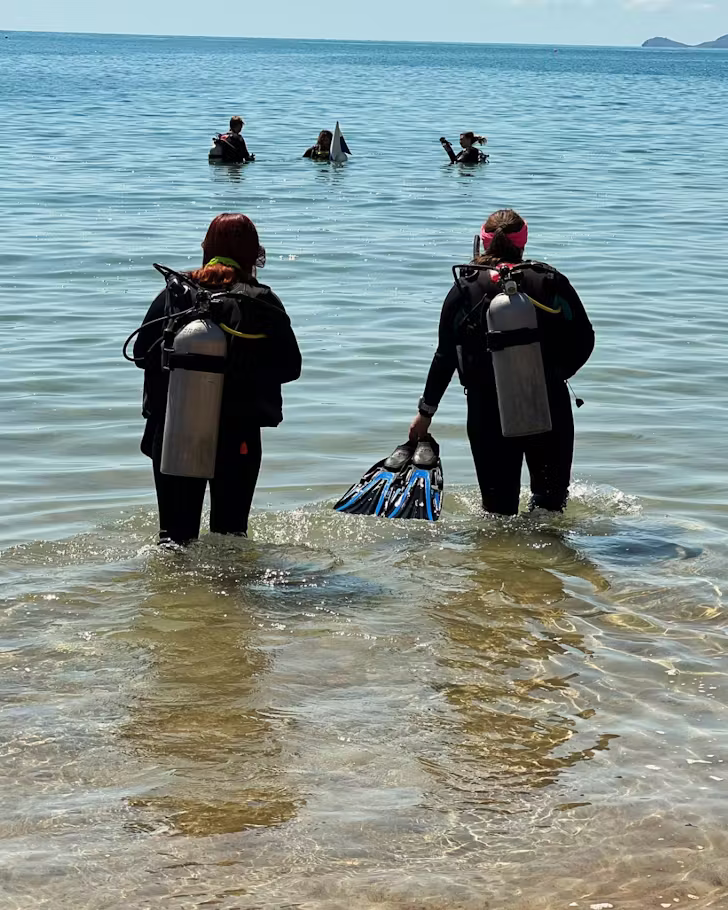 Divers walk into the bright blue water at Magnetic Island.