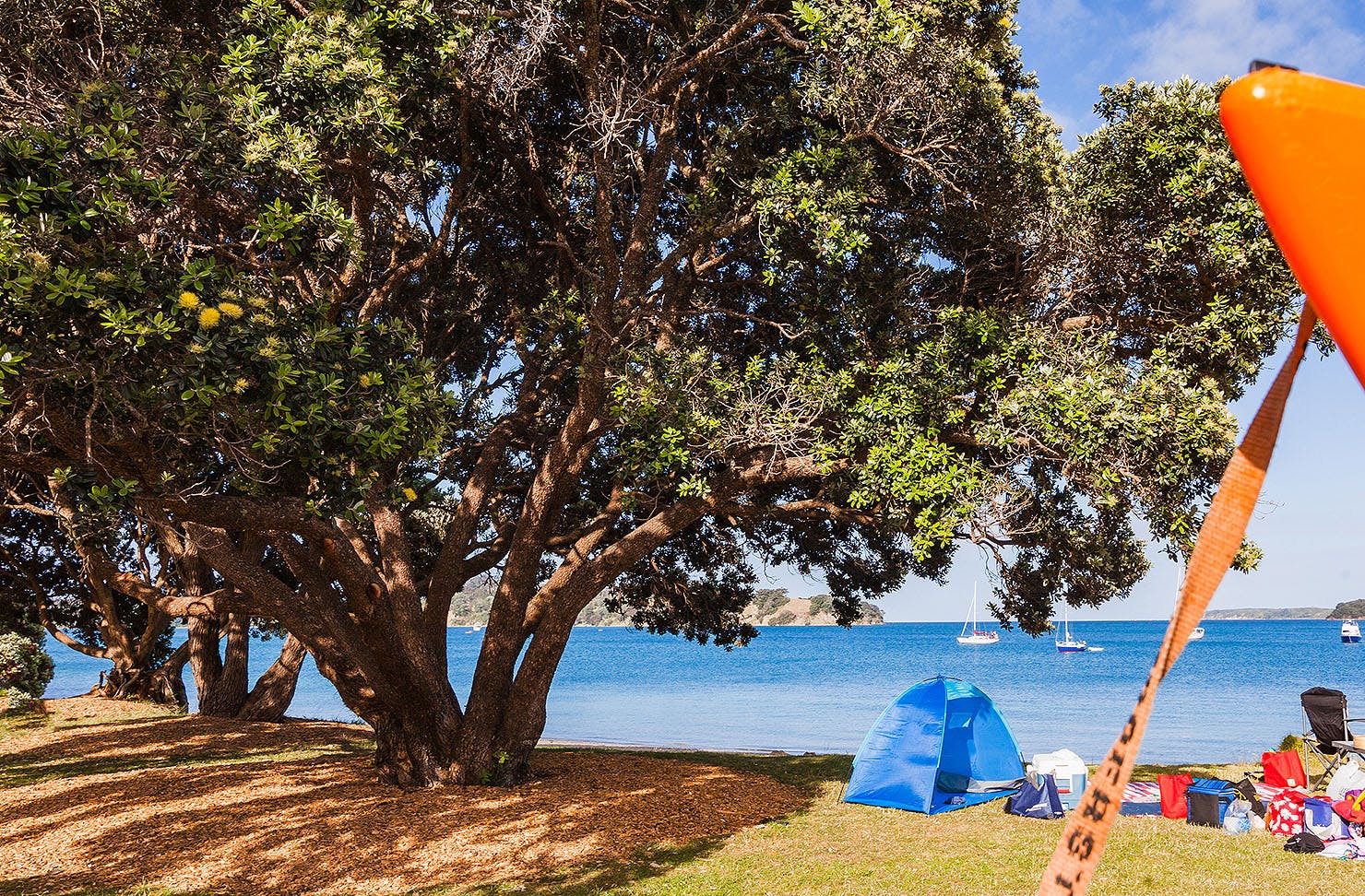 A sunny campground next to the water.