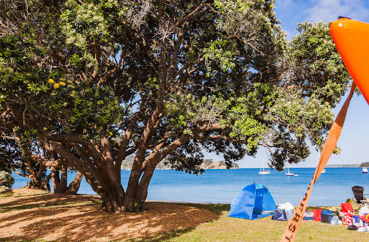 A sunny campground next to the water.