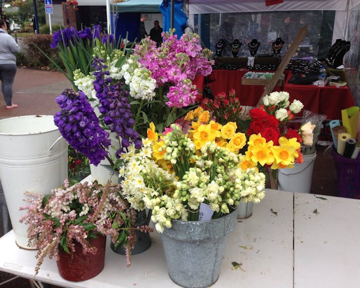 Bunches of colourful flowers in buckets, for sale.