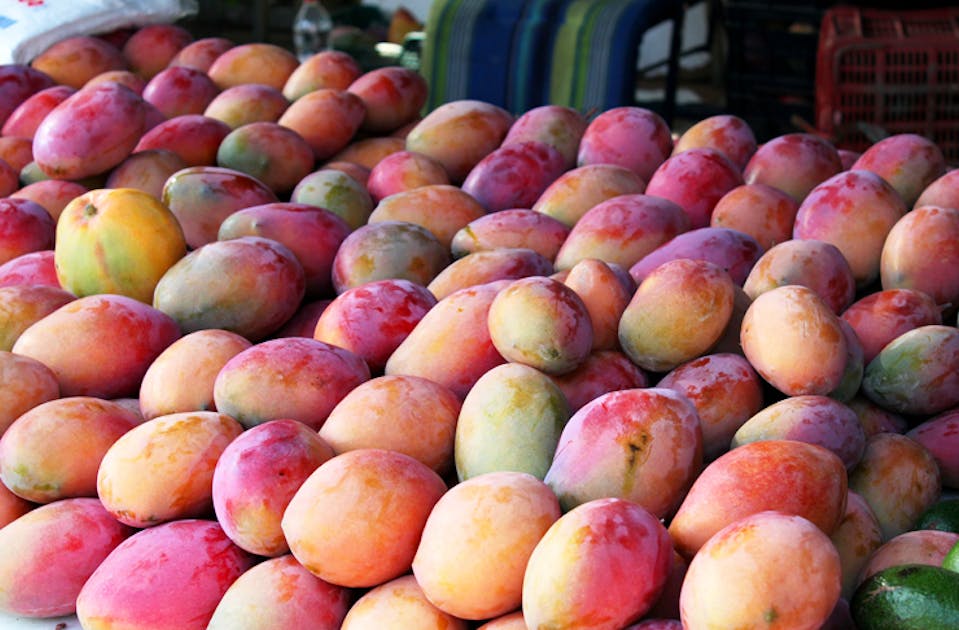 Don't Panic, But There's A Mango Shortage This Summer! URBAN LIST
