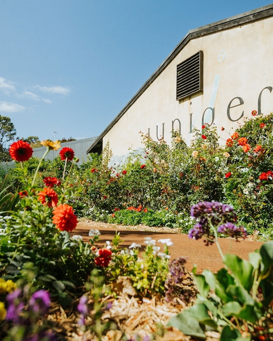 A path leading towards Juniper's cellar door surrounded by flowers