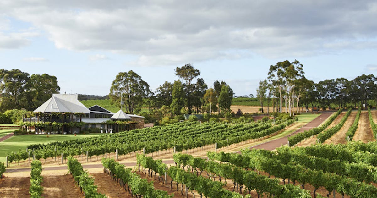 Best Wineries In Margaret River For Lunch Mum On The Move