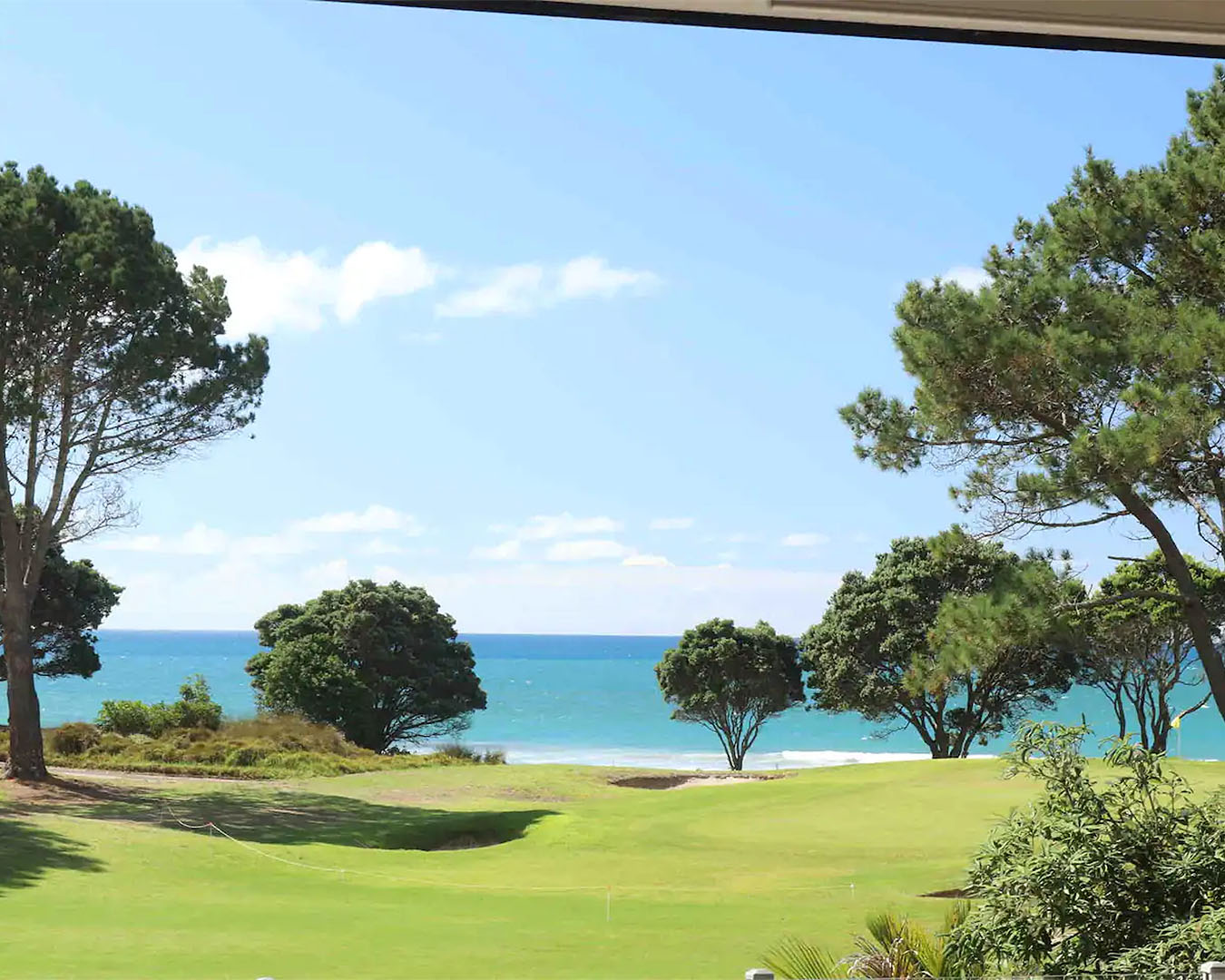The beautiful sunny view from the dining room at this Waikato stay.