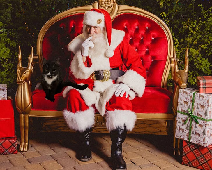 Cat on santas lap