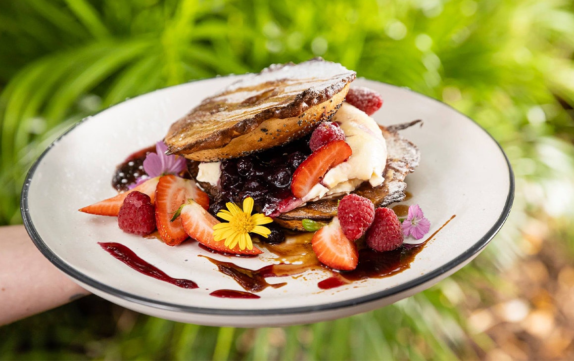 a plate of fruit laden frnech toast