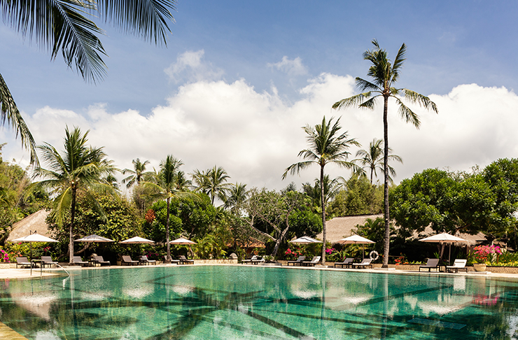 a hotel pool surrounded by palm trees