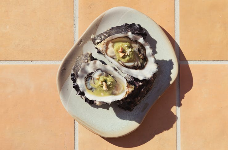 two oysters on a plate