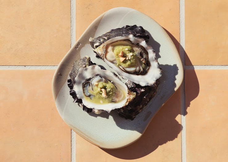 two oysters on a plate