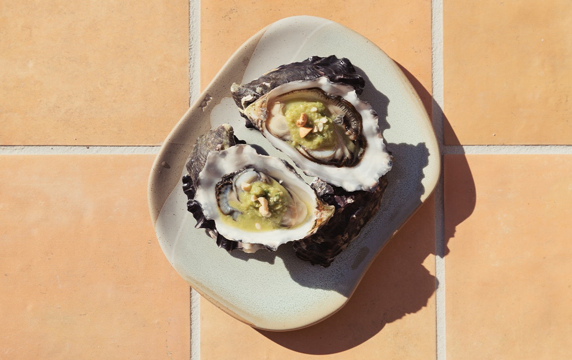 two oysters on a plate