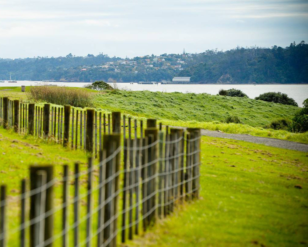 Meola Reef Reserve has an off-leash area, perfect for excitable pups.