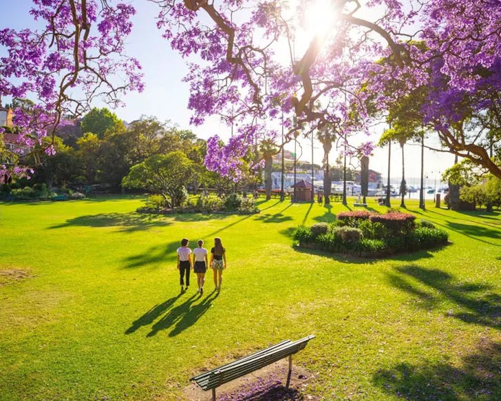 milson park sydney lavender picnic spot