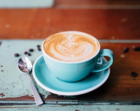 auckland best cafes, misters opening hours, misters review, misters menu