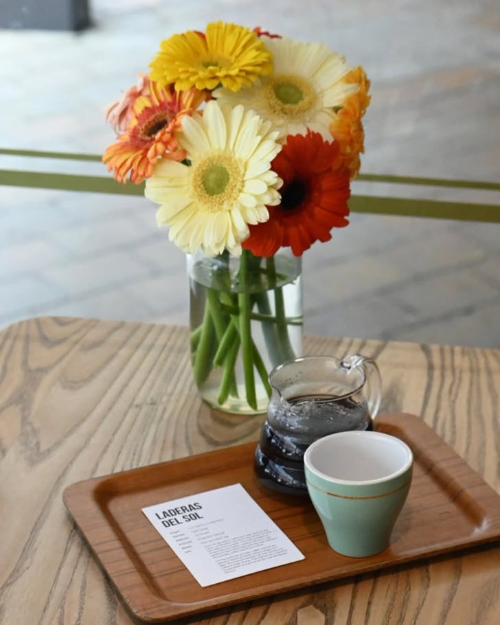 the beanery by mojo best cafes wellington