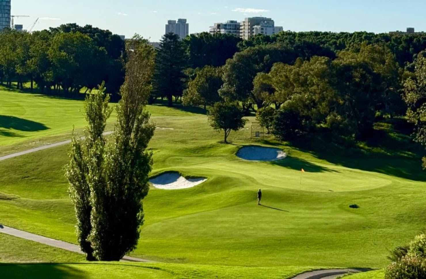 Moore Park Golf Course green