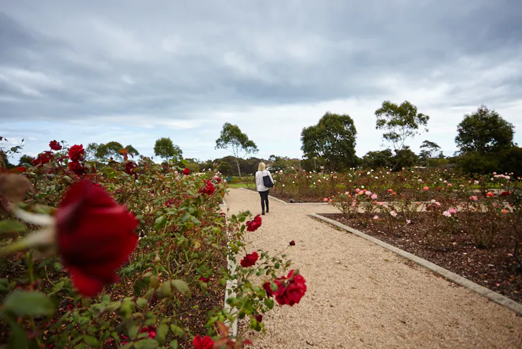 5 Ways to Find Bliss on the Mornington P­­­eninsula URBAN LIST MELBOURNE