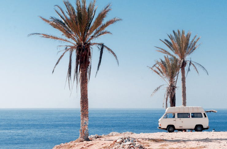 A white camper van is parked on a cliff, overlooking the ocean and under towering palm trees.