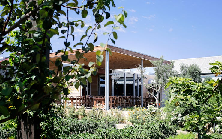dining area surrounded by garden