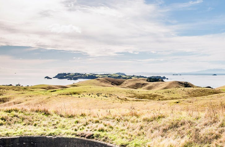 Day Trips From Auckland When You Don't Have A Car