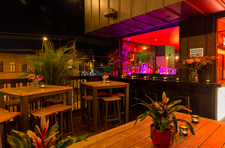 A rooftop bar drenched in warm lighting and covered with green plants.