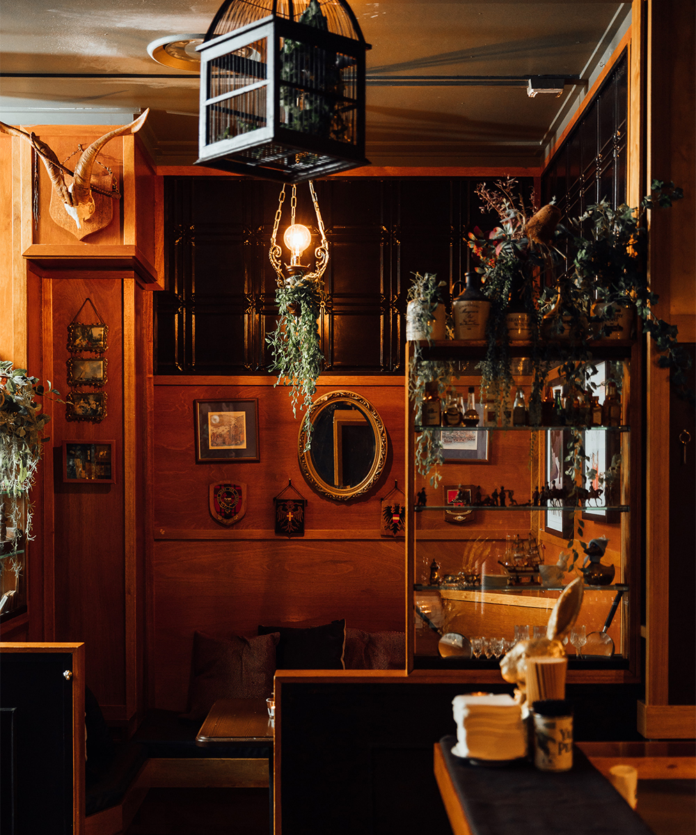 dark interior of mrs j rabbits