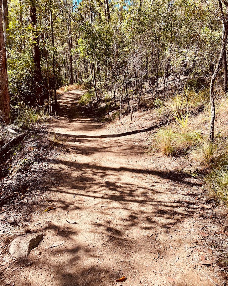 A Brisbane walk through bushland 