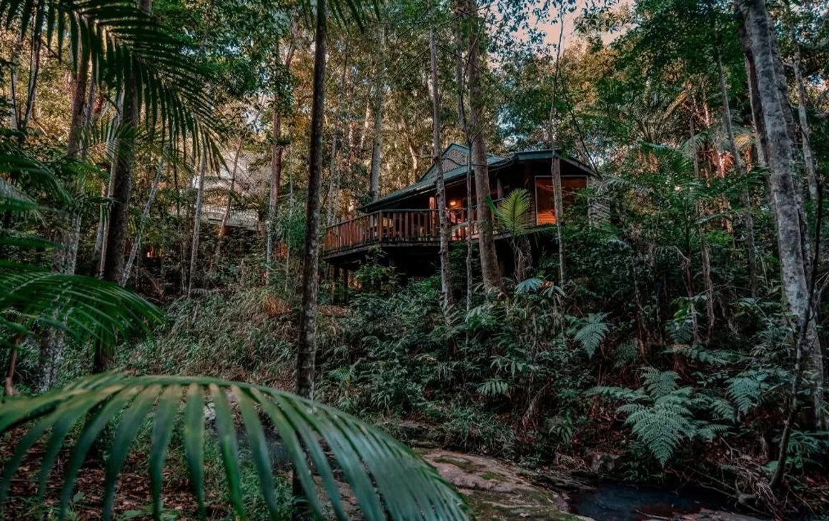 a cabin in a rainforest