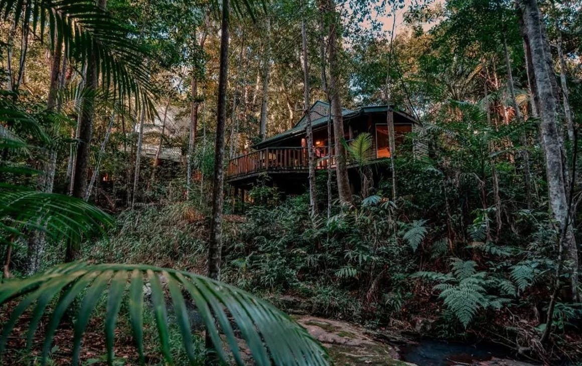 a cabin surrounded by rainforest