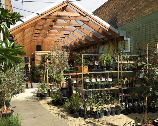 native-homes-house-of-plants