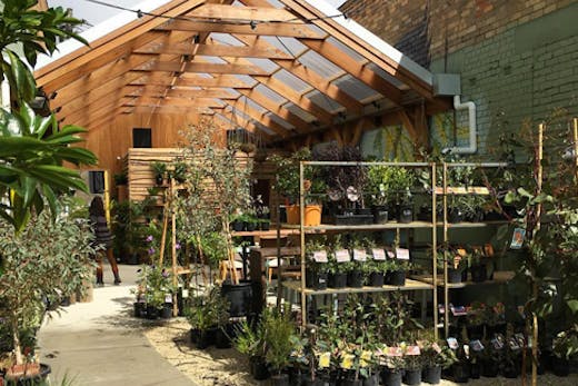 native-homes-house-of-plants