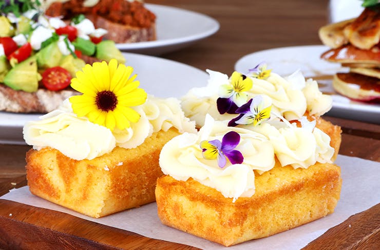 New Opening: Husk Cafe