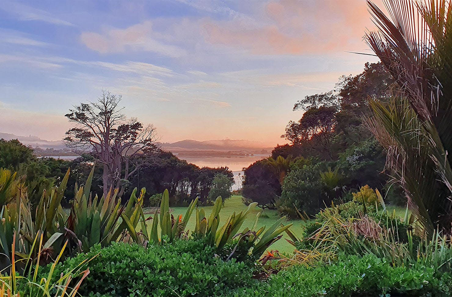 A stunning view of sunrise in Ngunguru. 