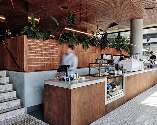 A lofty cafe filled with greenery.