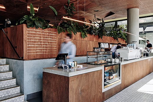 A lofty cafe filled with greenery.